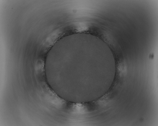 X0000111800565200908131438