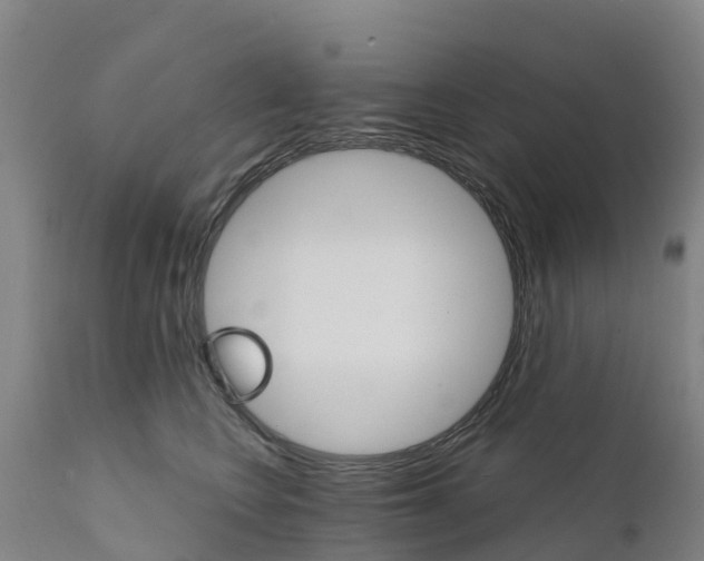 X0000111800566200908131438