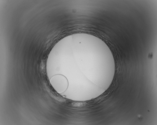 X0000111800567200908131438