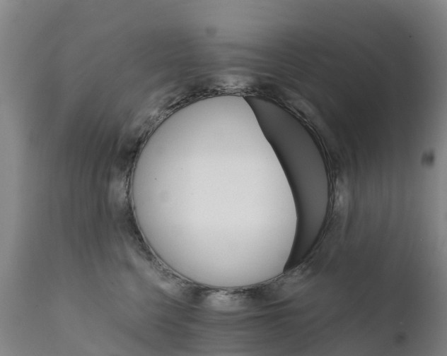 X0000111800568200908131438