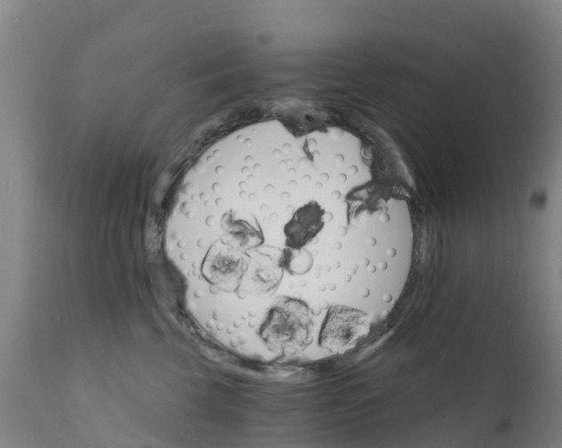 X0000111800569200908131438