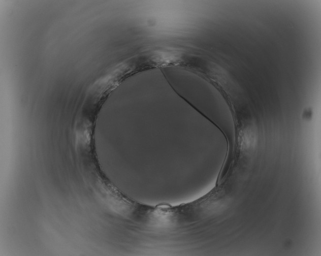 X0000111800570200908131438