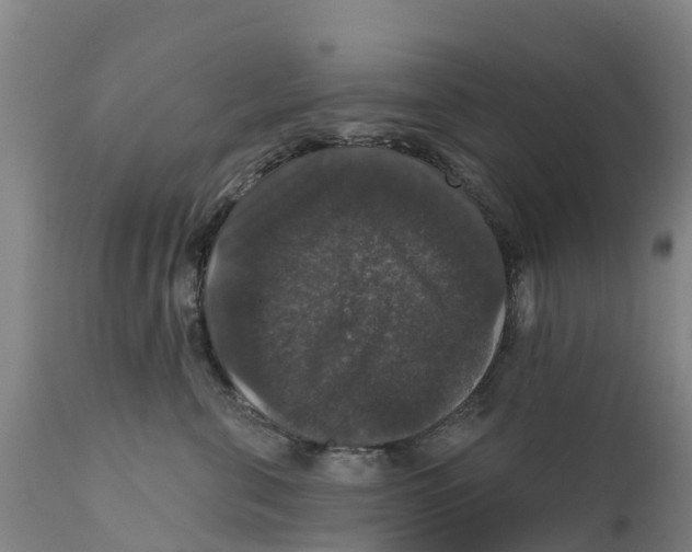 X0000111800571200908131439