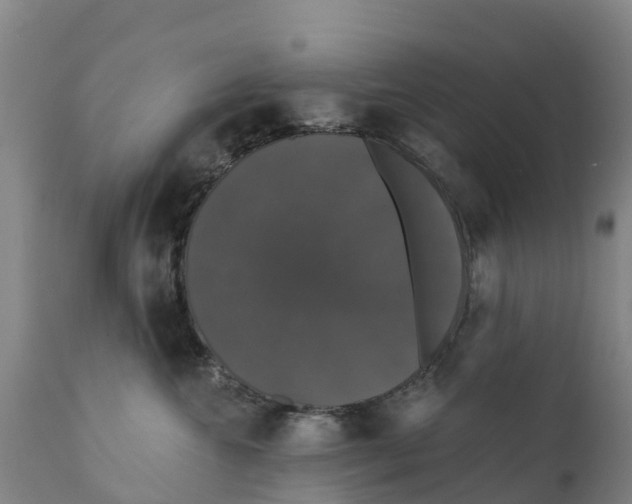 X0000111800572200908131439