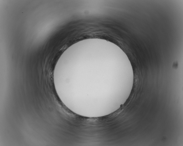 X0000111800574200908131439