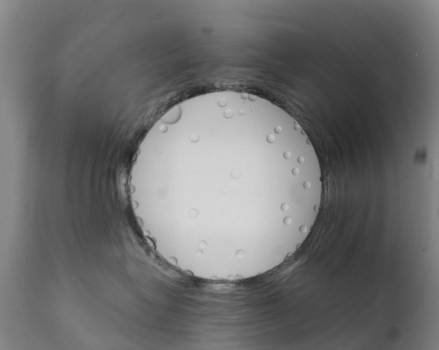 X0000111800575200908131439