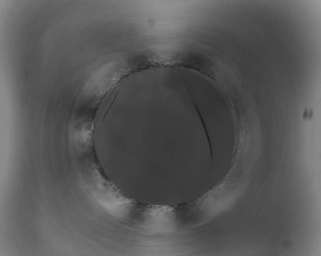 X0000111800576200908131439
