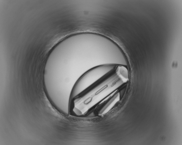 X0000111800577200908131438