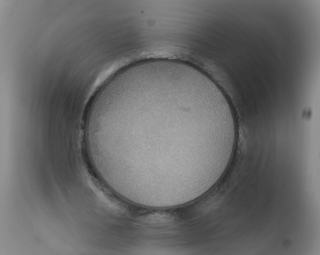 X0000111800578200908131438
