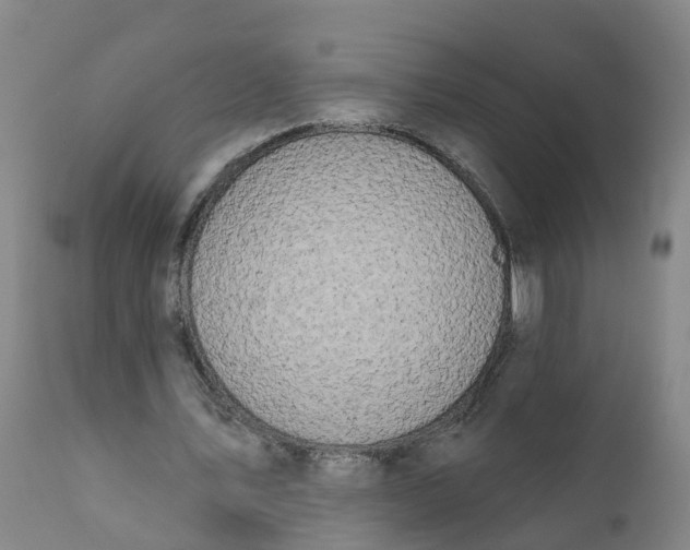 X0000111800579200908131438
