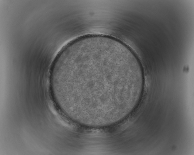 X0000111800580200908131438