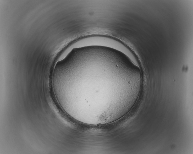 X0000111800581200908131438