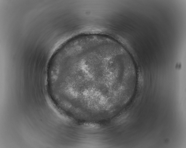 X0000111800582200908131438