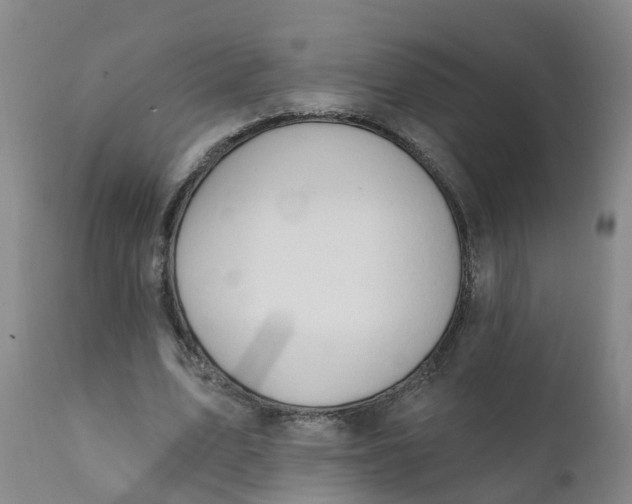 X0000111800583200908131437