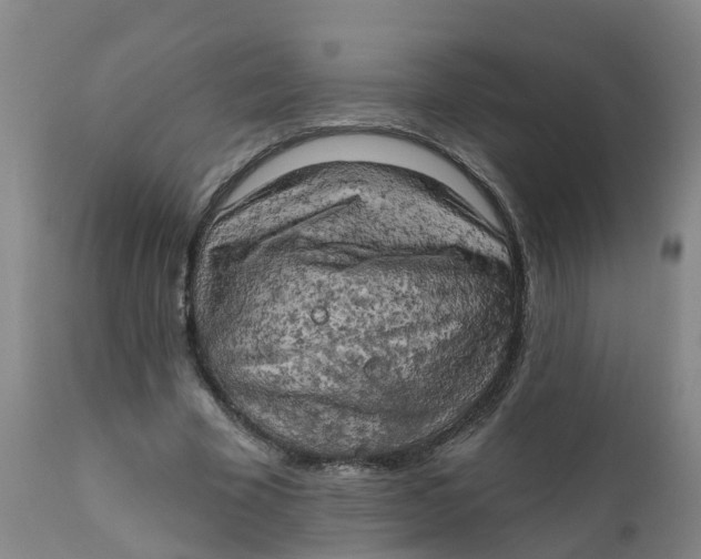 X0000111800585200908131437