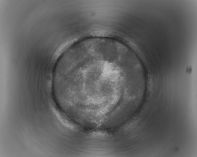X0000111800586200908131437