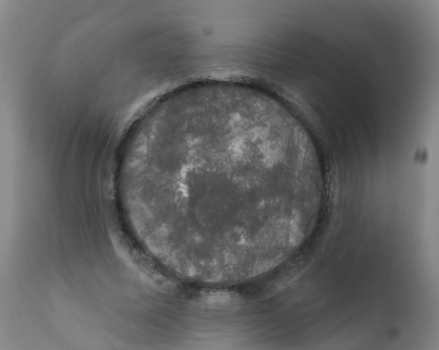 X0000111800587200908131437
