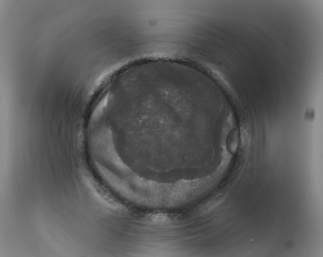 X0000111800588200908131437