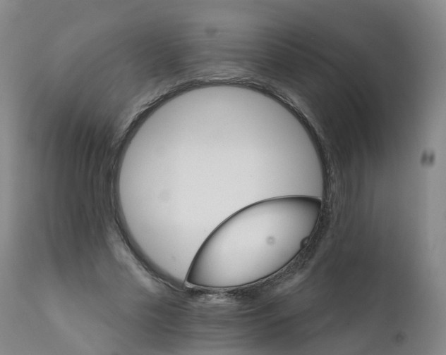 X0000111800589200908131437