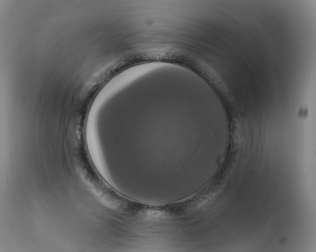 X0000111800590200908131437