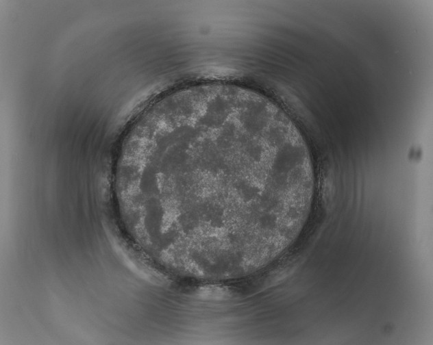 X0000111800591200908131437