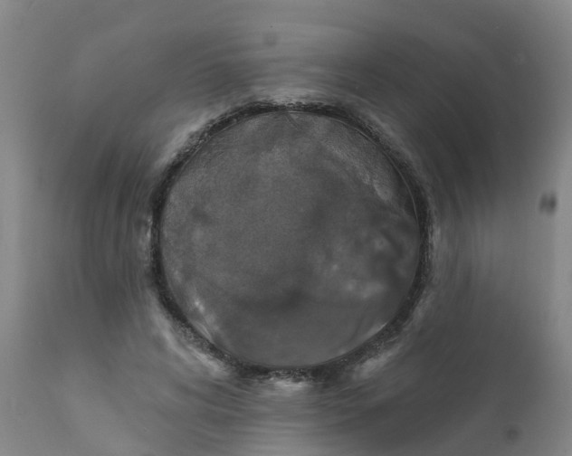 X0000111800592200908131437