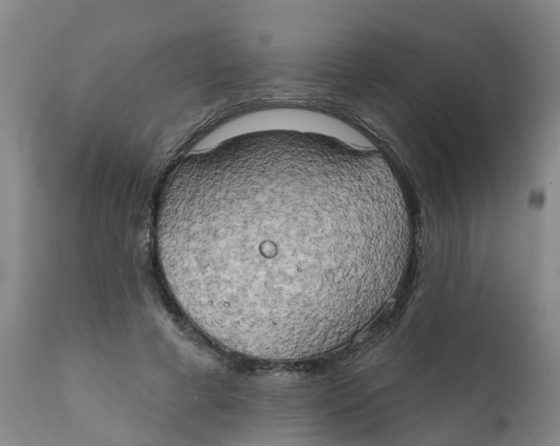 X0000111800593200908131437
