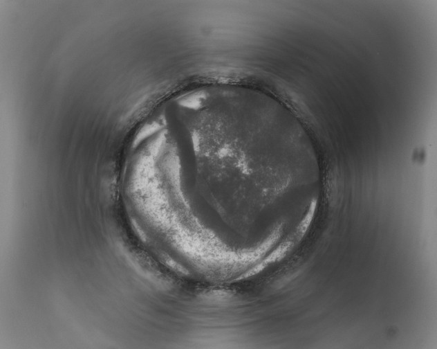X0000111800594200908131437