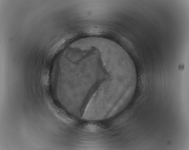 X0000111800596200908131437