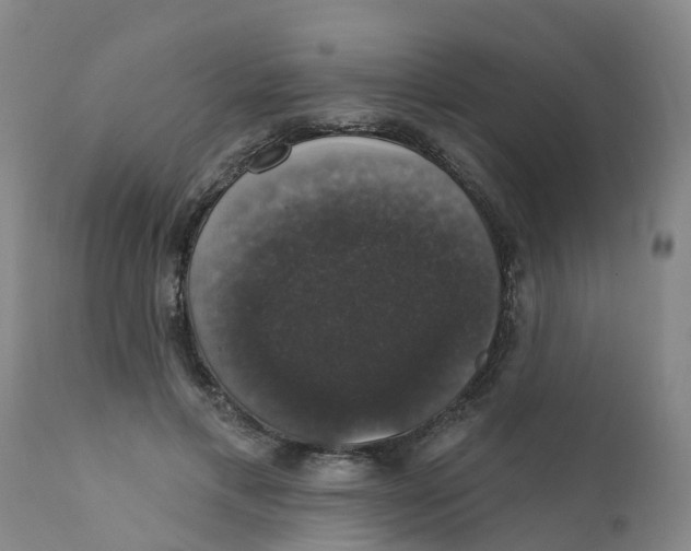 X0000111800597200908131437
