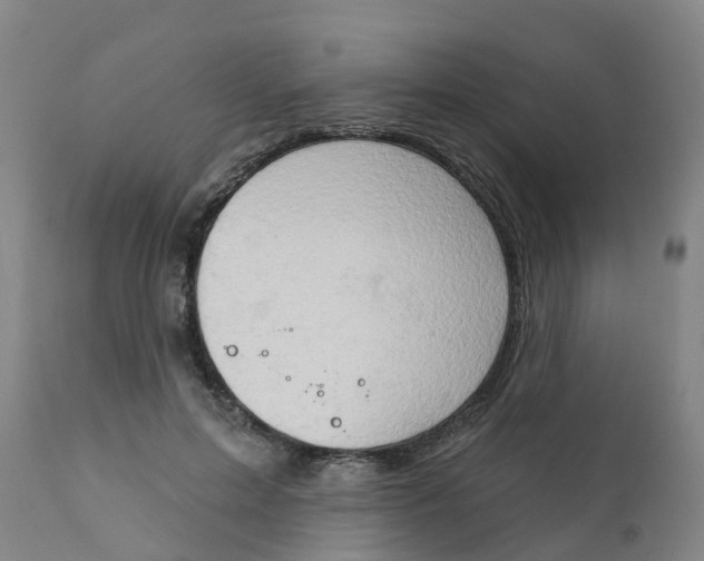 X0000111800599200908131437