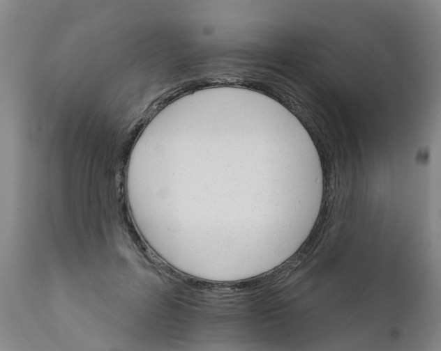 X0000111800600200908131437