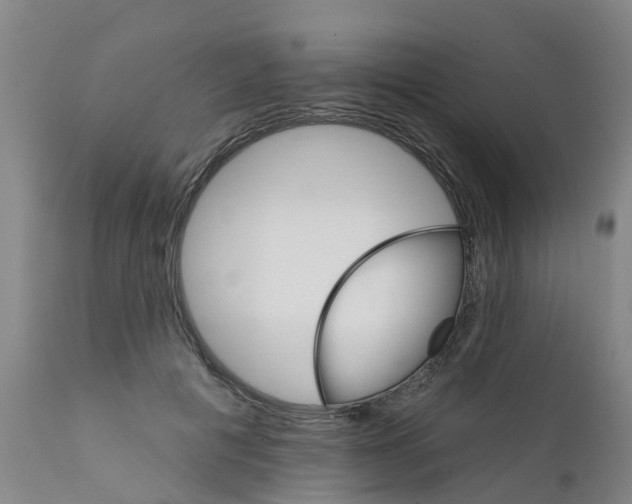 X0000111800601200908131437