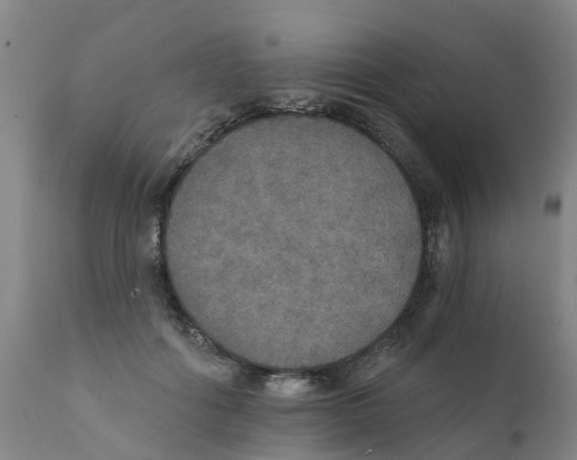 X0000111800602200908131437