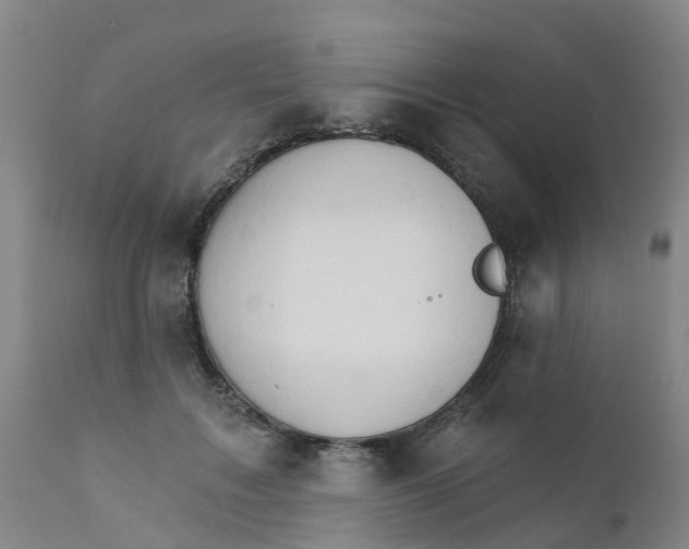 X0000111800603200908131437