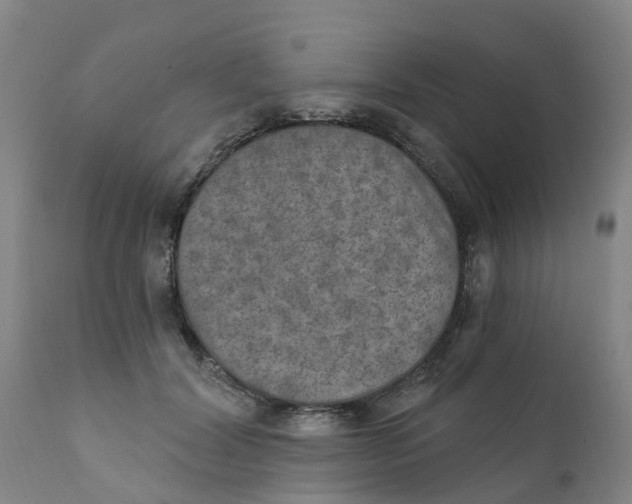 X0000111800604200908131437