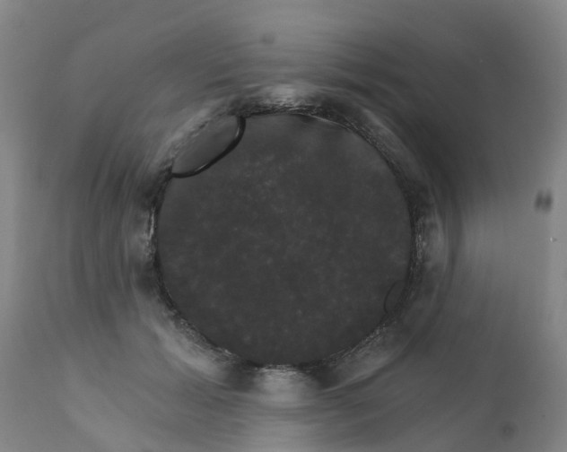 X0000111800605200908131437