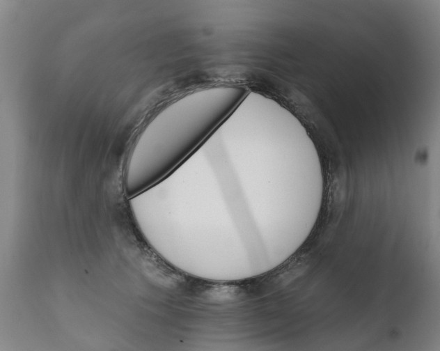 X0000111800609200908131437