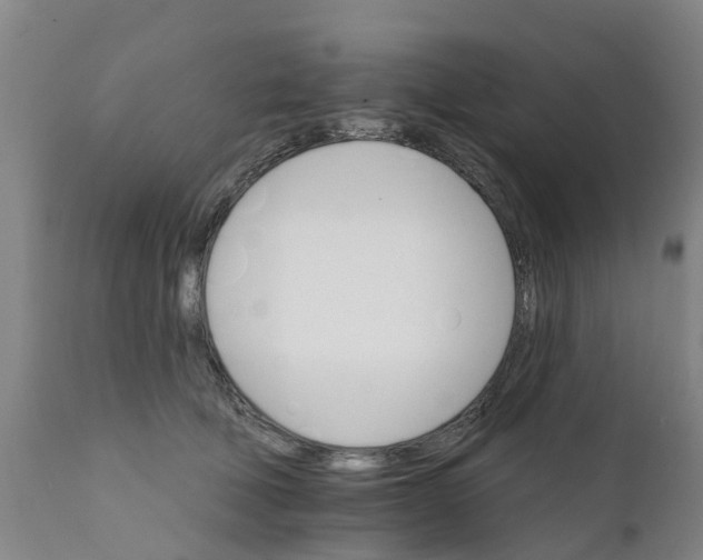 X0000111800610200908131437