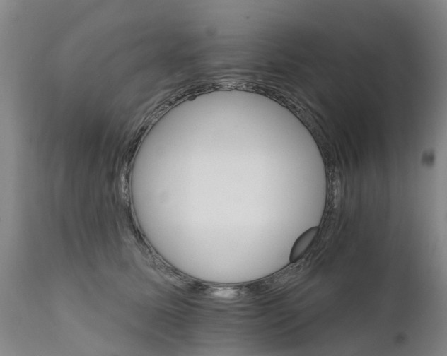 X0000111800611200908131437
