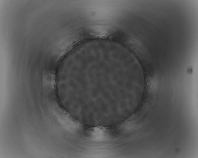 X0000111800612200908131437