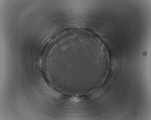 X0000111800613200908131437