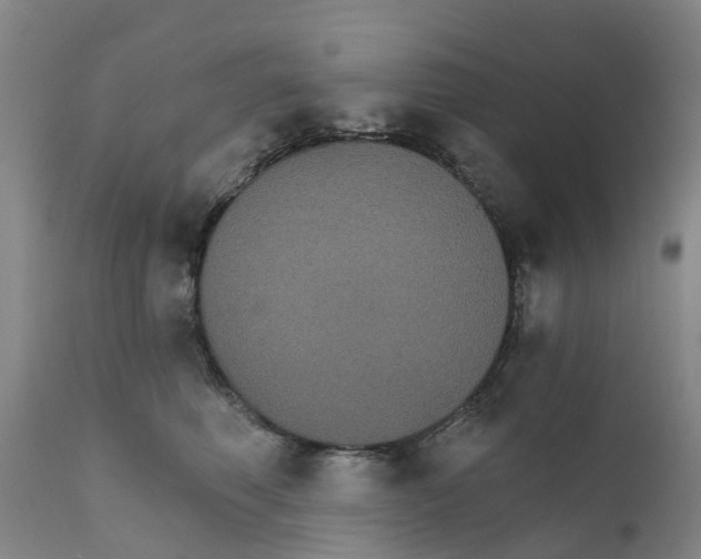 X0000111800614200908131437