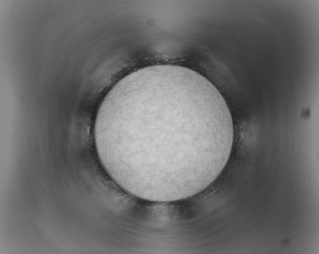 X0000111800615200908131437