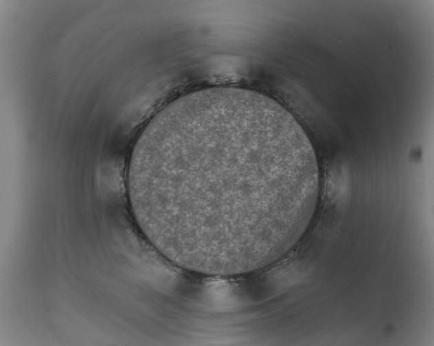 X0000111800616200908131437