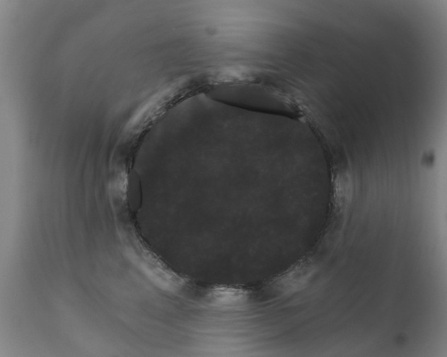 X0000111800617200908131437