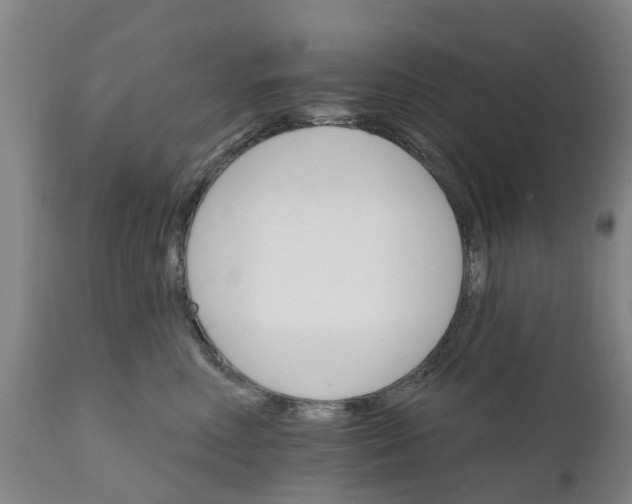 X0000111800618200908131437