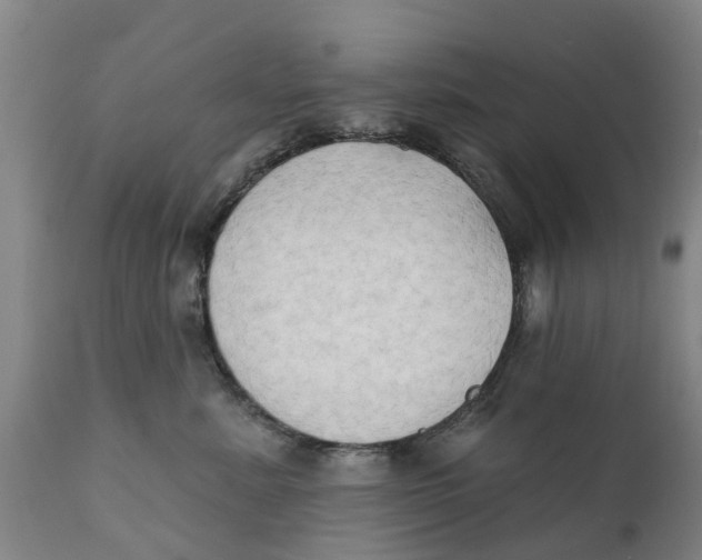 X0000111800619200908131437