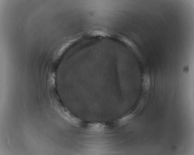 X0000111800621200908131437