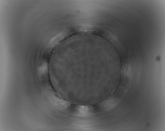 X0000111800623200908131437